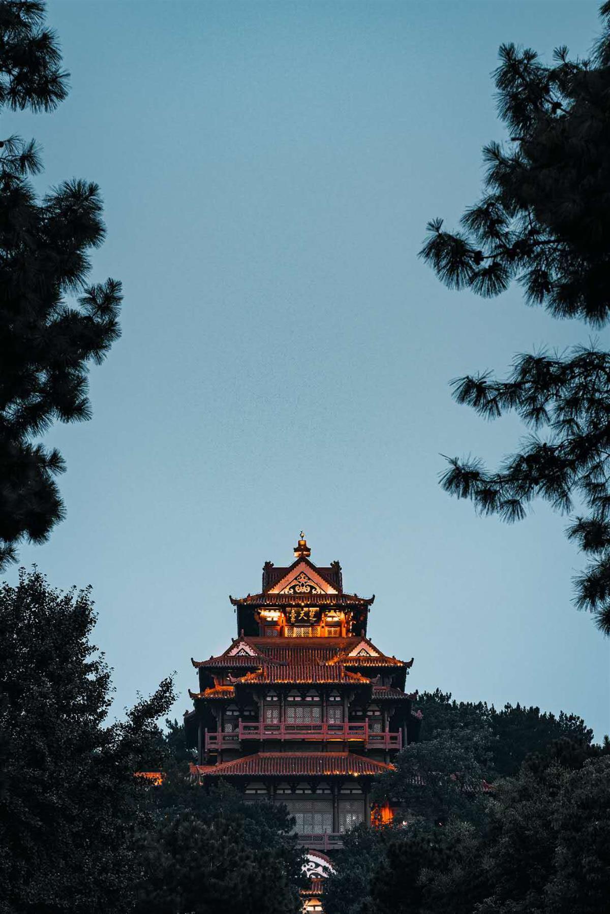 微乐斗地主直播福利码
